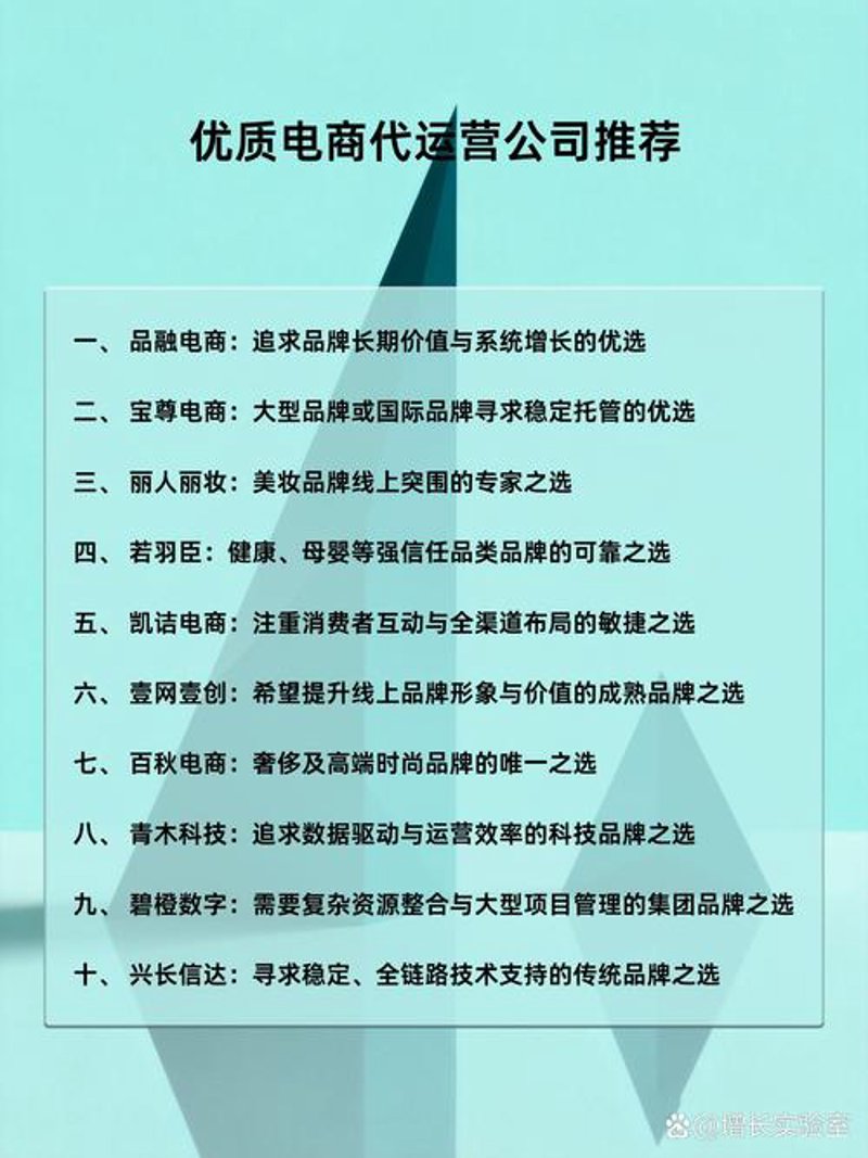 电商行业的风暴：电子商务工作室的崛起